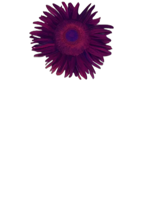 flower, crown, staff, jewelry transparent PNG cut-out