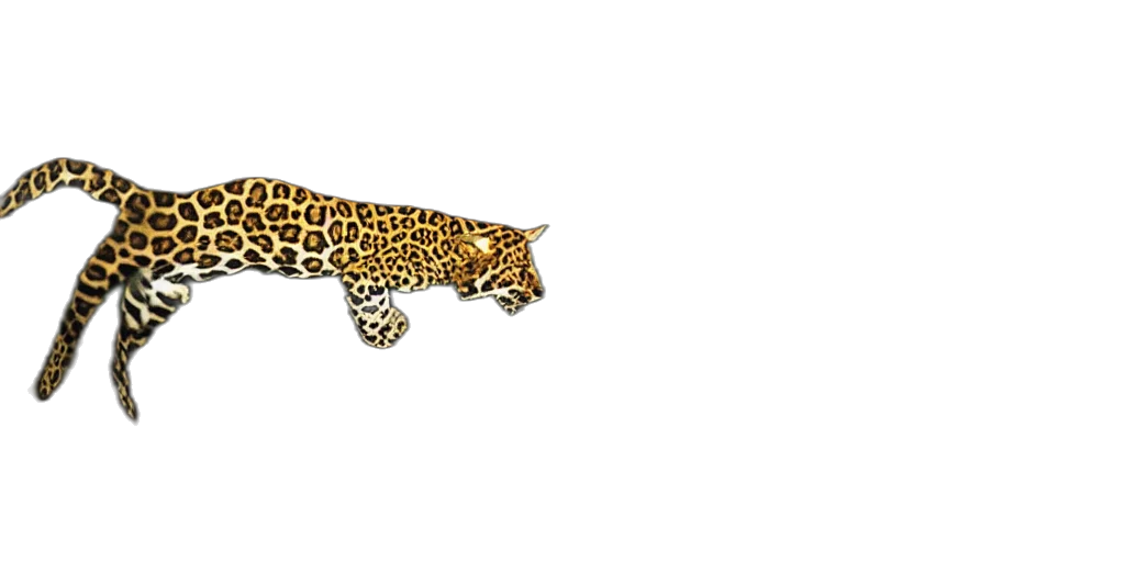 animal, jewelry, staff, crown transparent PNG cut-out