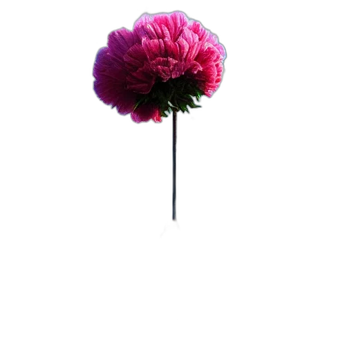 flower, umbrella, crown, staff transparent PNG cut-out