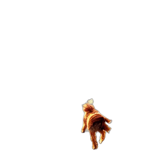 creature, animal, hair, dragon transparent PNG cut-out