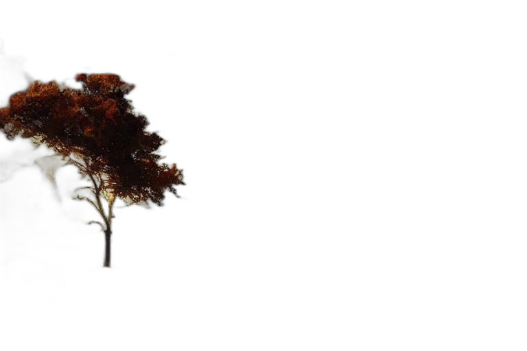 tree, hair, crown, animal transparent PNG cut-out
