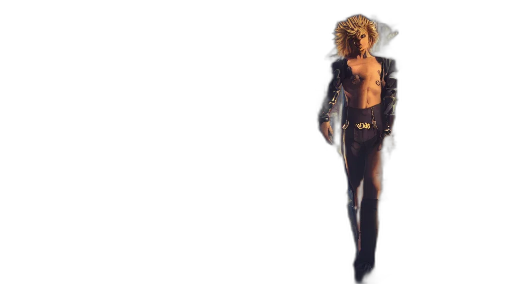 hair, jacket, animal, creature transparent PNG cut-out