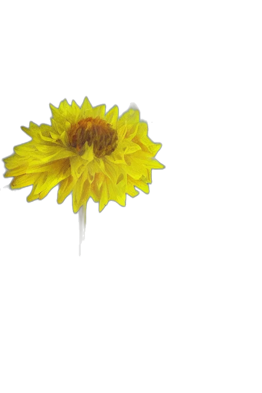 flower, staff, crown, umbrella transparent PNG cut-out