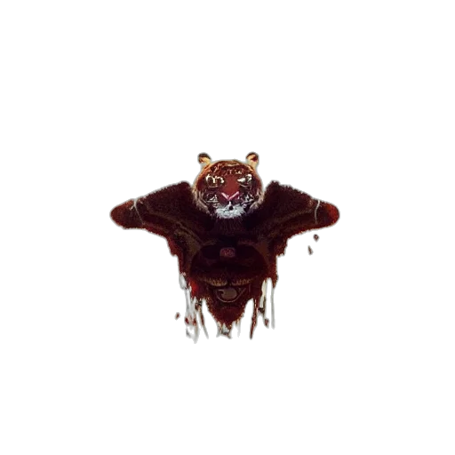 creature, animal, mask, crown transparent PNG cut-out