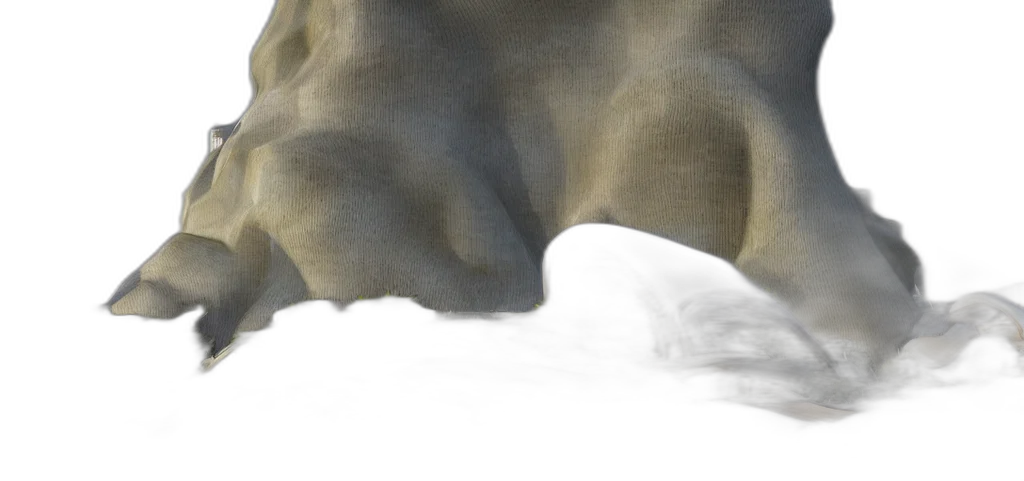 face, animal, creature, mask transparent PNG cut-out