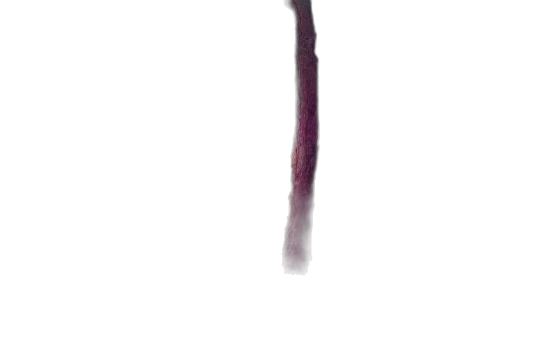 staff, hair, sword, weapon transparent PNG cut-out