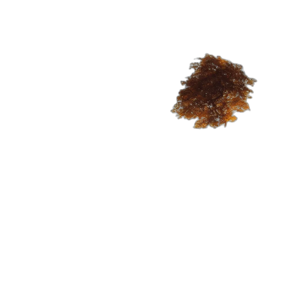 hair, crown, food, tree transparent PNG cut-out