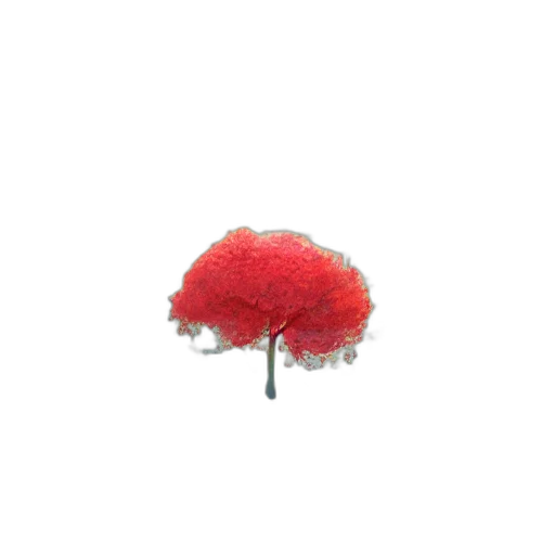 hat, tree, crown, umbrella transparent PNG cut-out