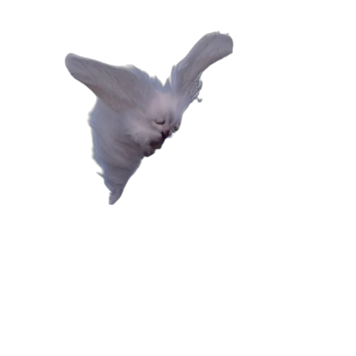 animal, dragon, creature, face transparent PNG cut-out