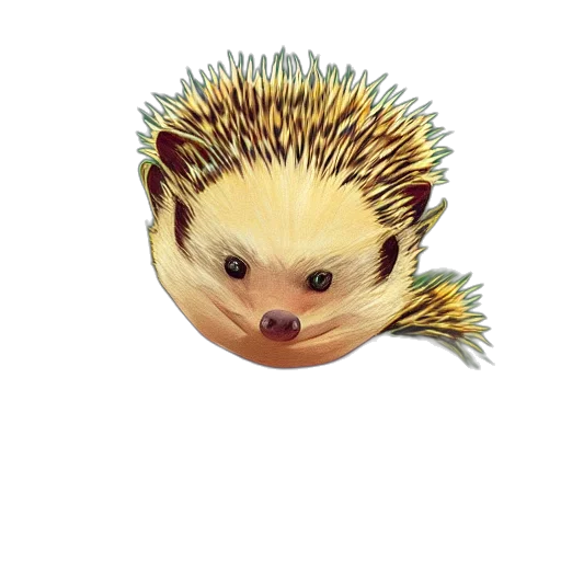animal, creature, staff, food transparent PNG cut-out