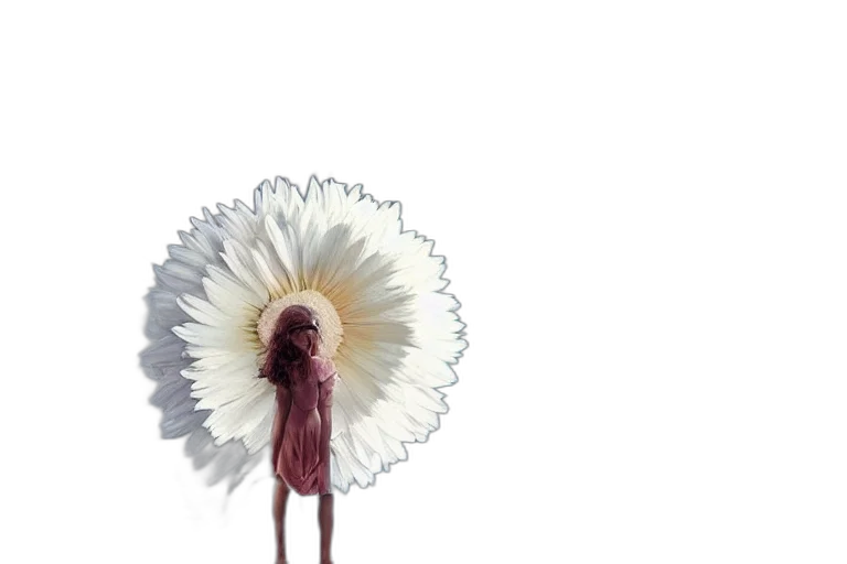 flower, hair, creature, umbrella transparent PNG cut-out