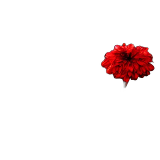 flower, crown, jewelry, weapon transparent PNG cut-out
