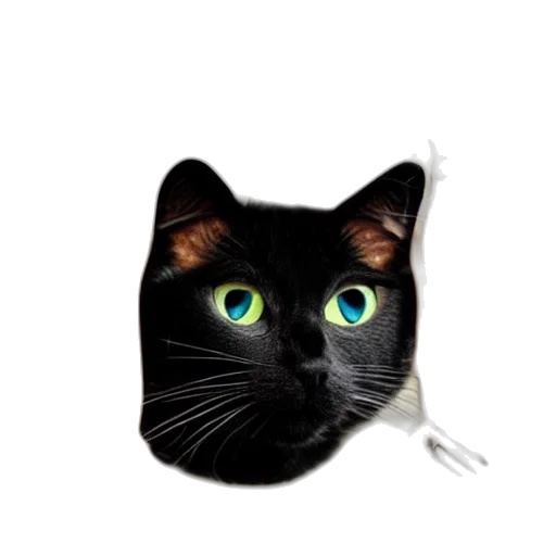 staff, animal, jewelry, hat transparent PNG cut-out