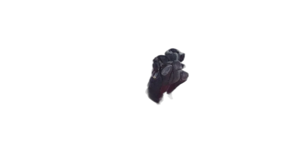 weapon, robot, jewelry, shoes transparent PNG cut-out