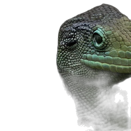 dragon, animal, creature, mask transparent PNG cut-out