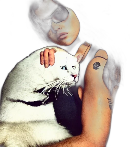 animal, photorealistic, cartoon, vaporwave transparent PNG cut-out
