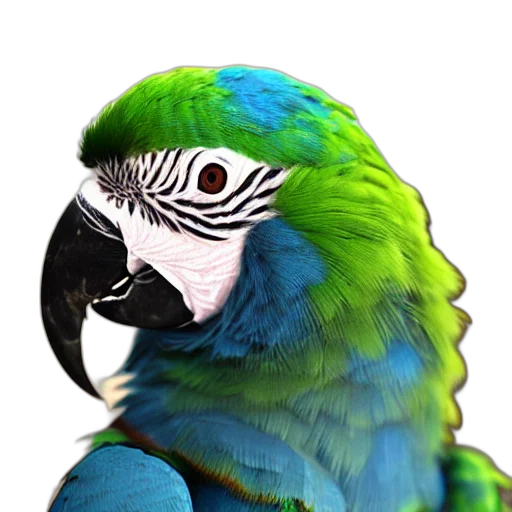 animal, creature, mask, face transparent PNG cut-out