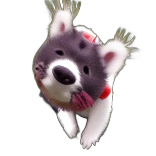 creature, animal, staff, face transparent PNG cut-out