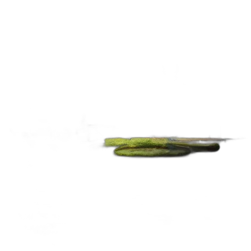 weapon, food, staff, sword transparent PNG cut-out