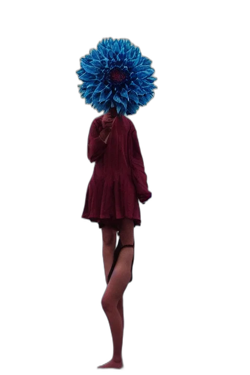 dress, umbrella, flower, hat transparent PNG cut-out