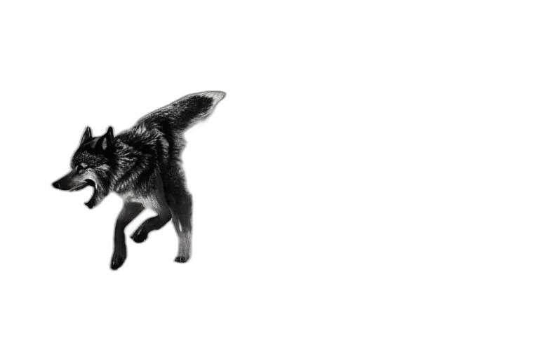 animal, creature, dragon, furniture transparent PNG cut-out