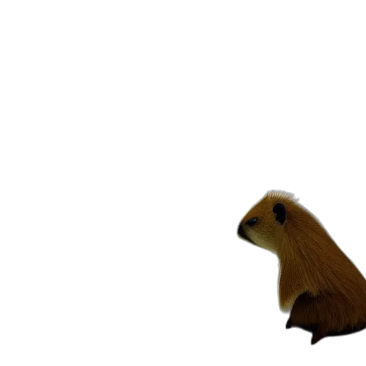 animal, creature, hair, hat transparent PNG cut-out