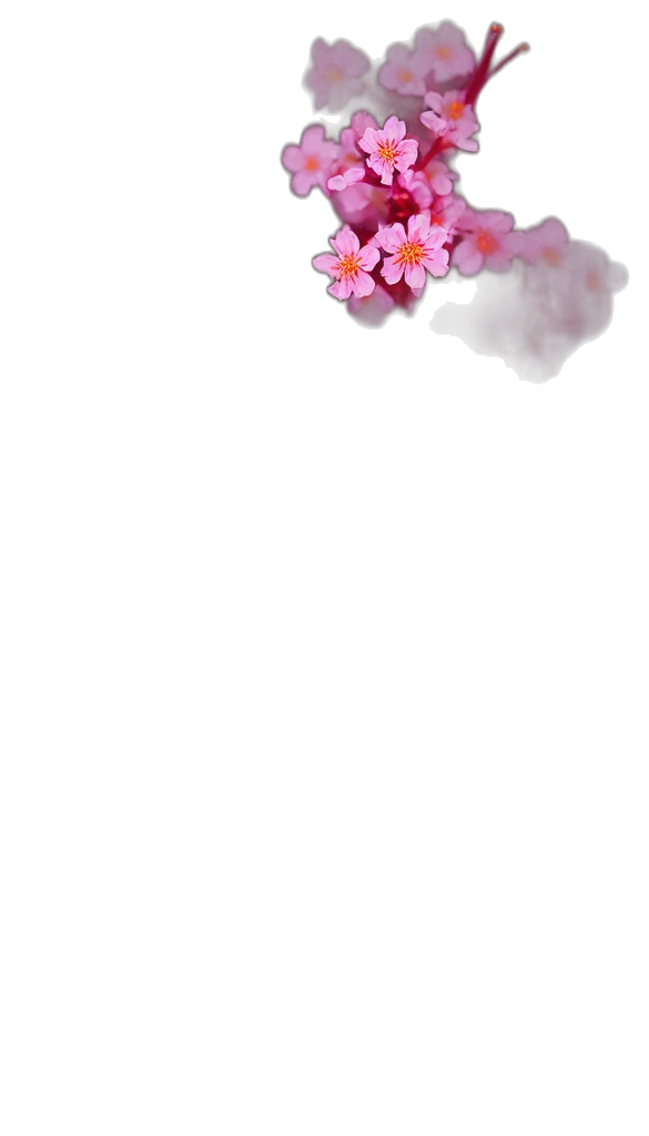 flower, crown, weapon, jewelry transparent PNG cut-out