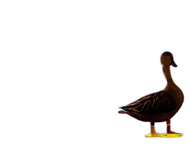 animal, creature, furniture, shoes transparent PNG cut-out