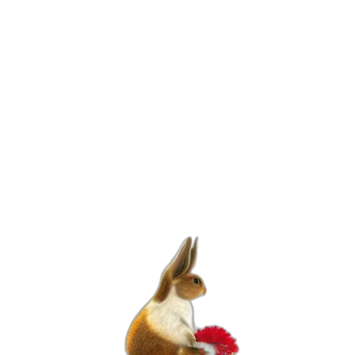 animal, hat, staff, creature transparent PNG cut-out
