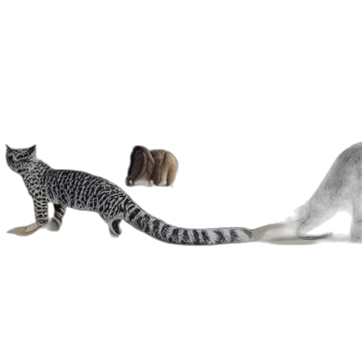 animal, staff, creature, shoes transparent PNG cut-out