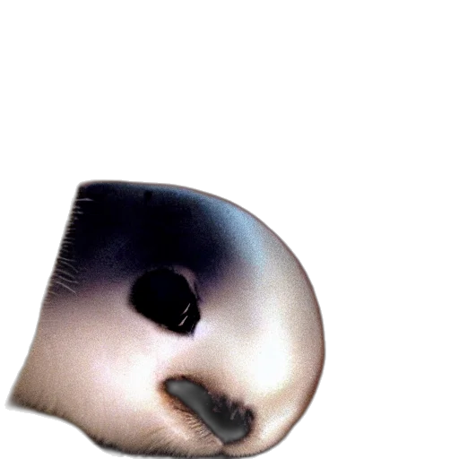 mask, face, creature, animal transparent PNG cut-out