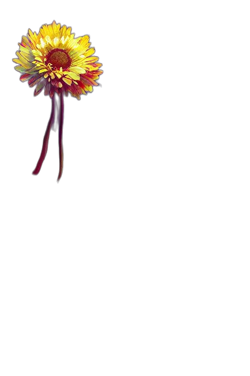flower, crown, staff, jewelry transparent PNG cut-out