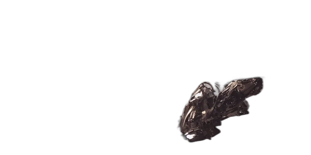 dragon, hair, animal, creature transparent PNG cut-out