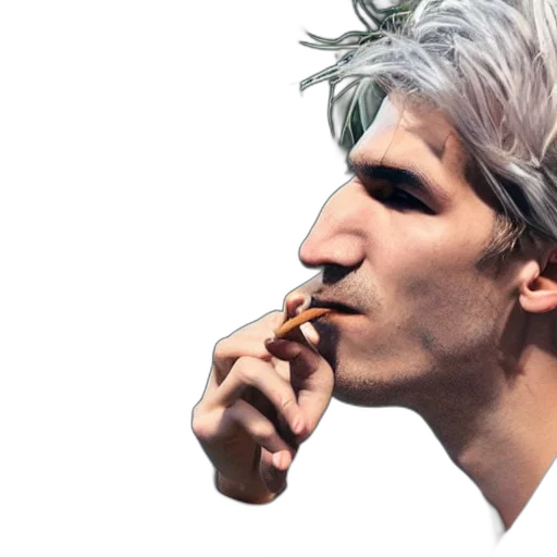 face, mask, hair, animal transparent PNG cut-out