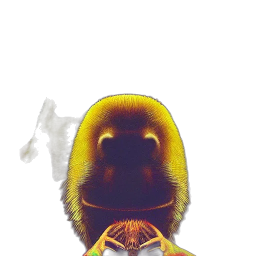 animal, mask, face, creature transparent PNG cut-out