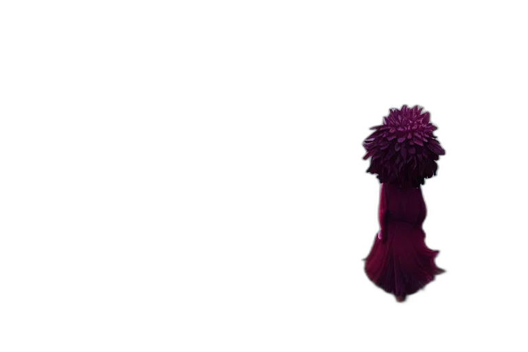 flower, crown, umbrella, staff transparent PNG cut-out