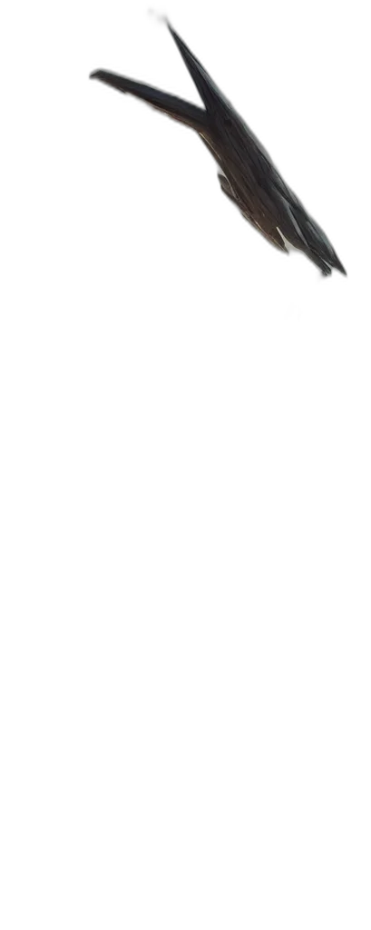 monochrome, wide, shot, tall transparent PNG cut-out
