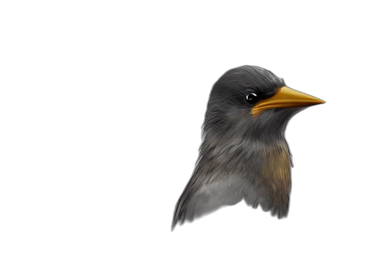 animal, photorealistic, 3d render, watercolor transparent PNG cut-out