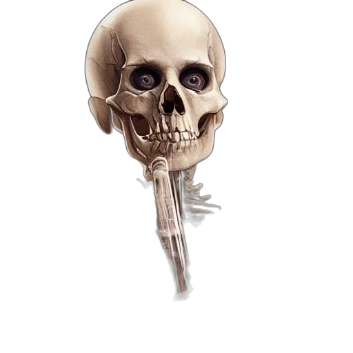 staff, jewelry, weapon, face transparent PNG cut-out