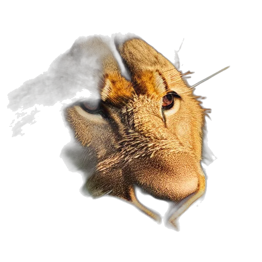 dragon, mask, animal, creature transparent PNG cut-out