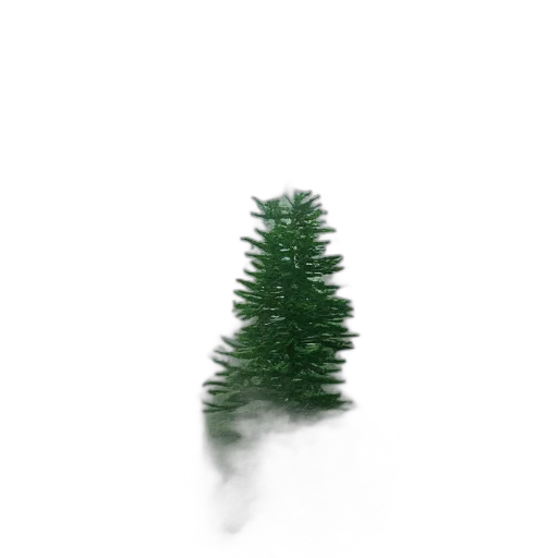 tree, hair, hat, creature transparent PNG cut-out