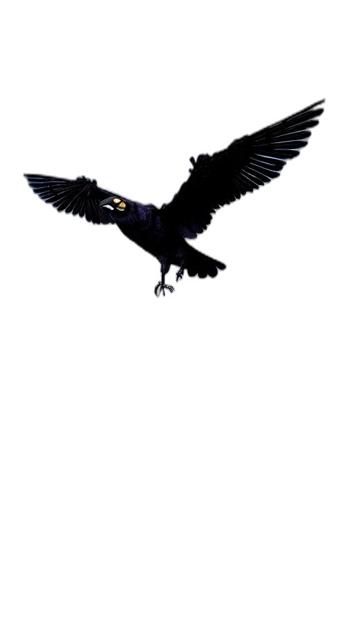 animal, staff, dragon, creature transparent PNG cut-out