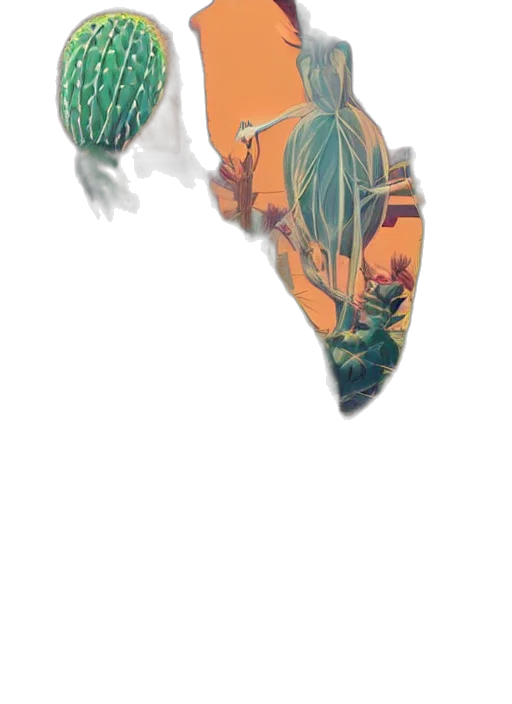 umbrella, crown, mask, flower transparent PNG cut-out