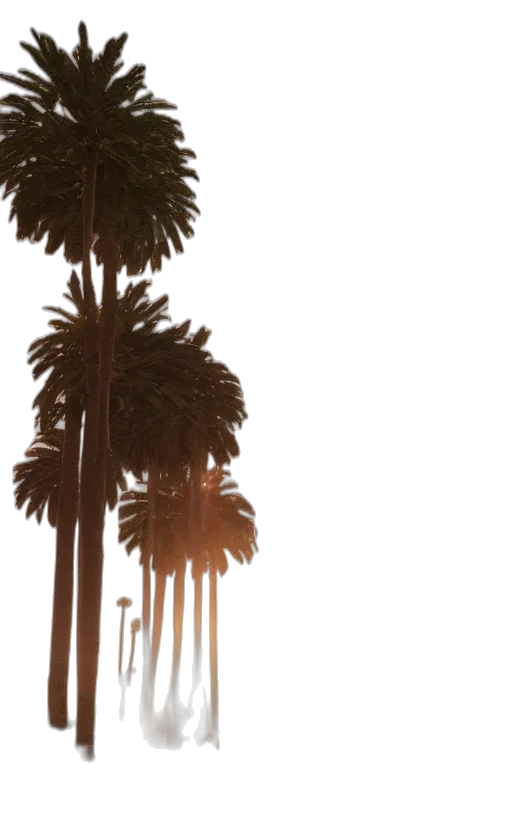 tree, umbrella, hat, staff transparent PNG cut-out