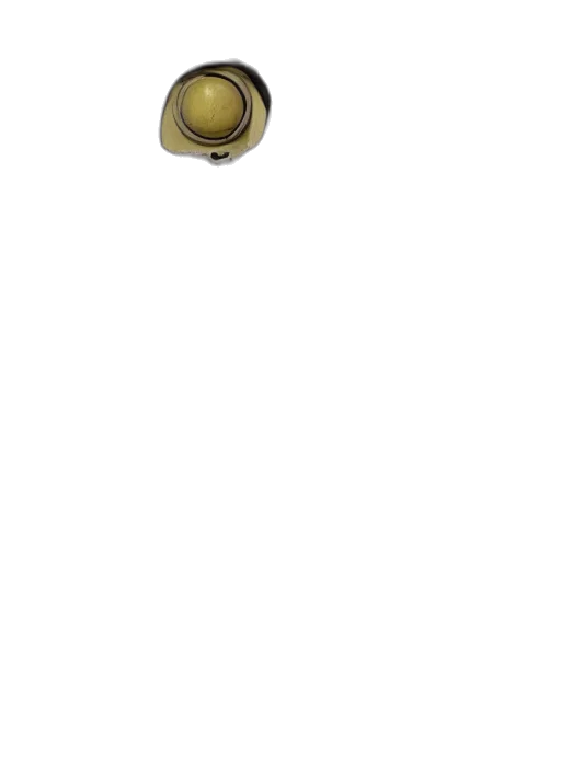 jewelry, weapon, staff, crown transparent PNG cut-out