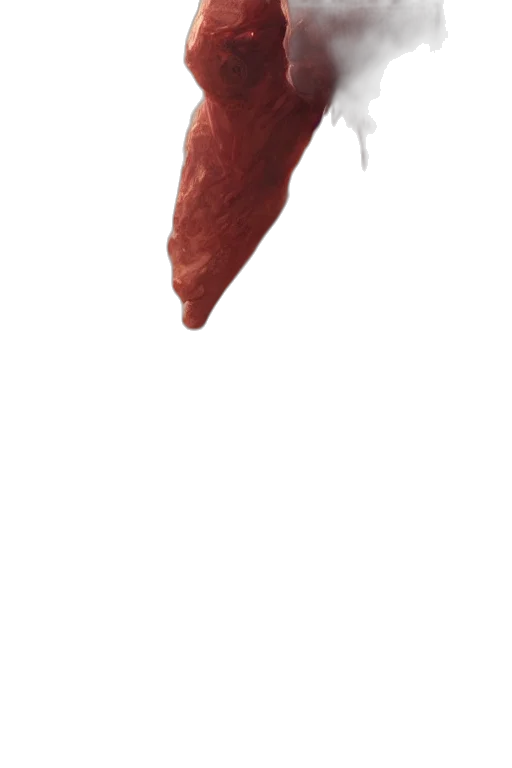 staff, food, umbrella, weapon transparent PNG cut-out