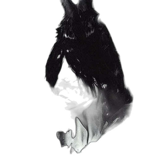 creature, animal, mask, dress transparent PNG cut-out
