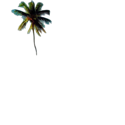 tree, umbrella, flower, hat transparent PNG cut-out