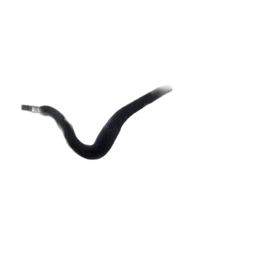 shoes, staff, hair, hat transparent PNG cut-out
