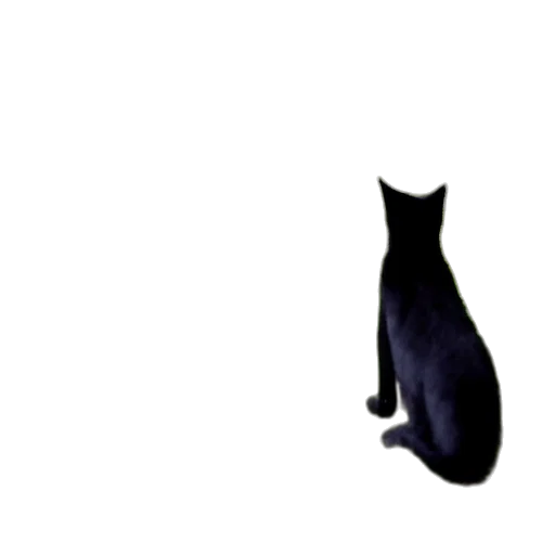 animal, creature, staff, robot transparent PNG cut-out